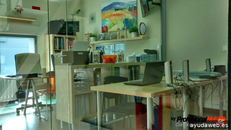 Agencia SEO Madrid | ProfesionalNet