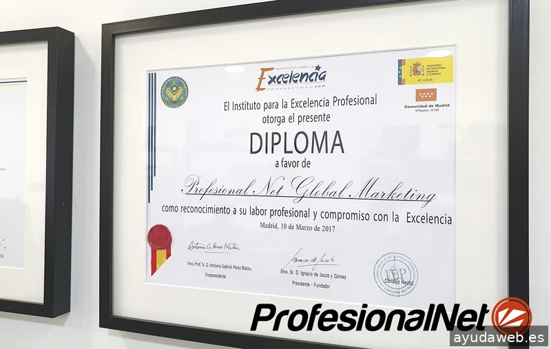 Agencia SEO Madrid | ProfesionalNet