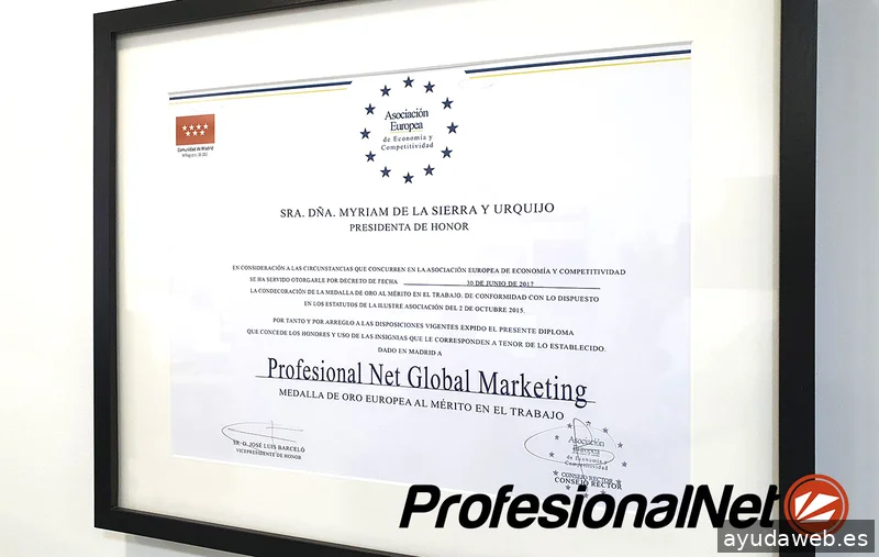 Agencia SEO Madrid | ProfesionalNet