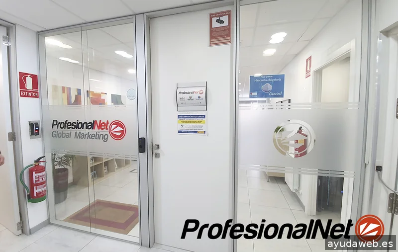 Agencia SEO Madrid | ProfesionalNet