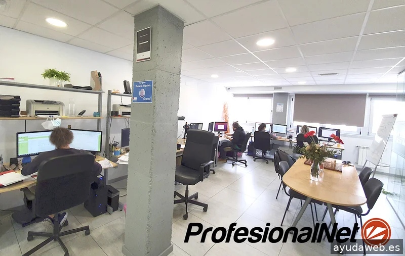 Agencia SEO Madrid | ProfesionalNet