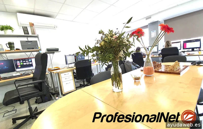 Agencia SEO Madrid | ProfesionalNet