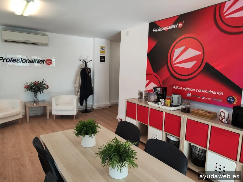 Agencia SEO Madrid | ProfesionalNet