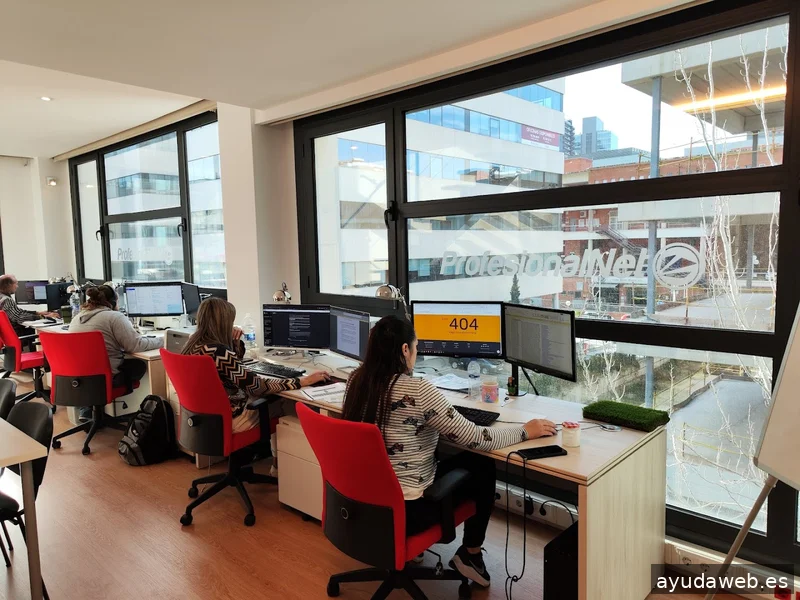 Agencia SEO Madrid | ProfesionalNet