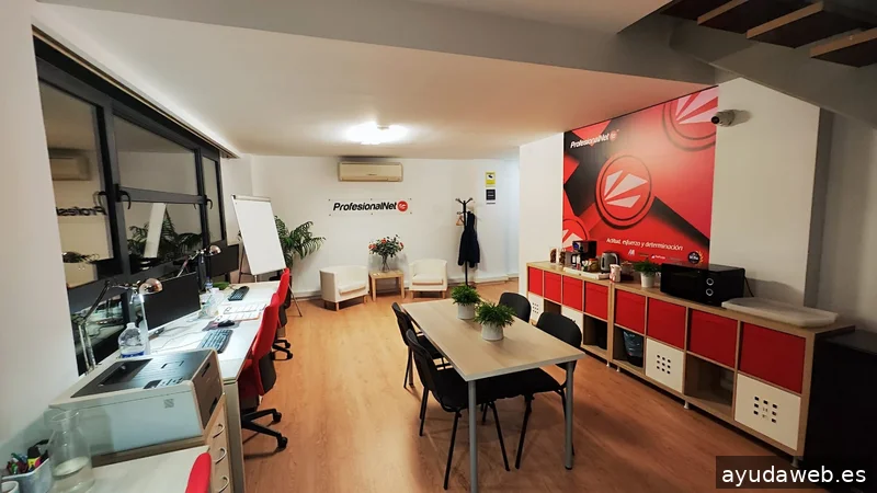 Agencia SEO Madrid | ProfesionalNet