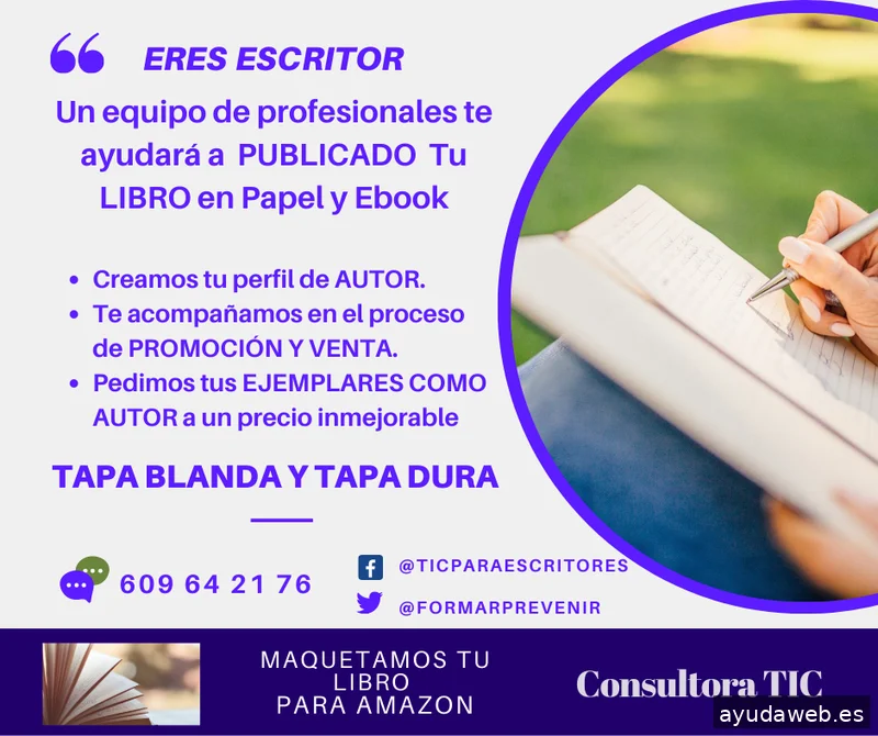Consultora TIC