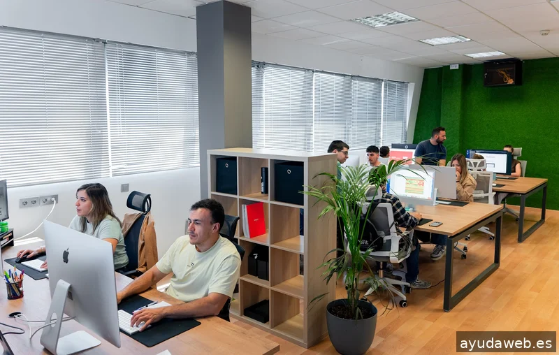 WIT 360 | Agencia de Marketing Digital en Almería