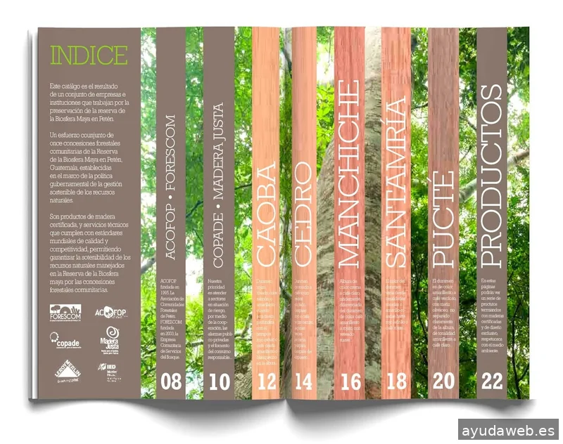 LUNELLI estudio de diseño