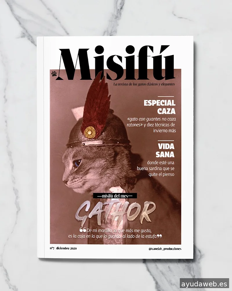 Canela Visual | Estudio de Diseño Gráfico