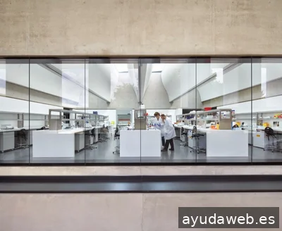 Cocoin - Diseño y consultoría web