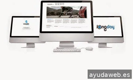 Cocoin - Diseño y consultoría web