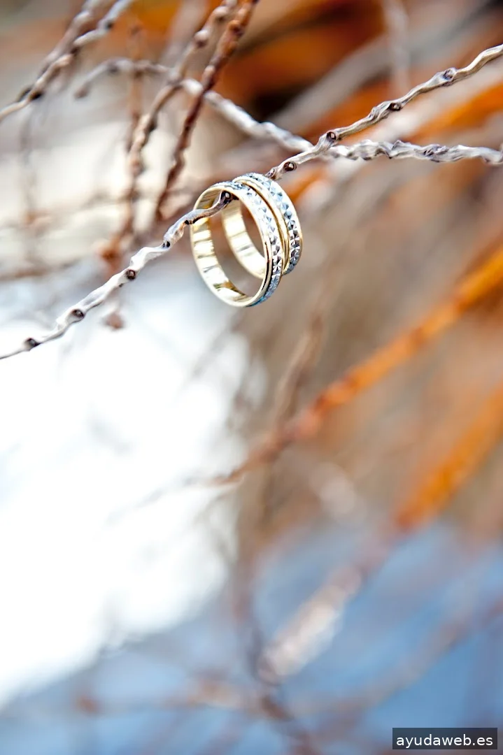 Capricolor Estudio Fotográfico