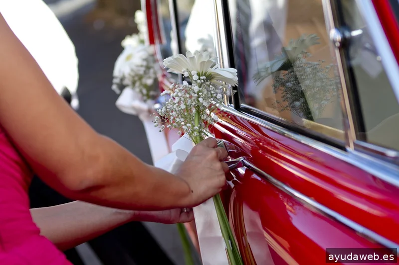 Capricolor Estudio Fotográfico