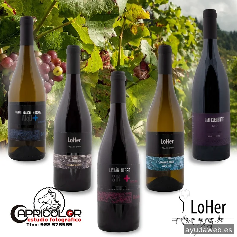 Capricolor Estudio Fotográfico