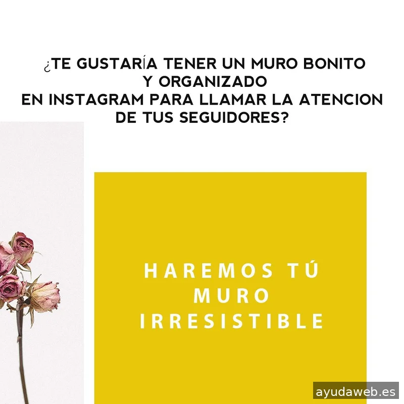 Informático en Valladolid