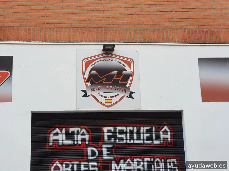 Diseño Web Valencia - MiBaRRio.NeT