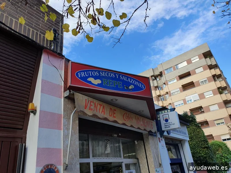 Diseño Web Valencia - MiBaRRio.NeT