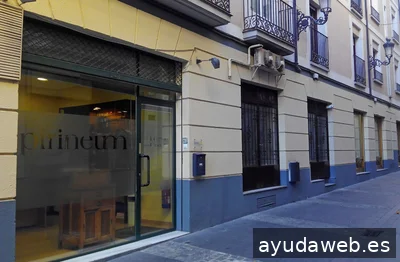 PIRINEUM diseño e internet