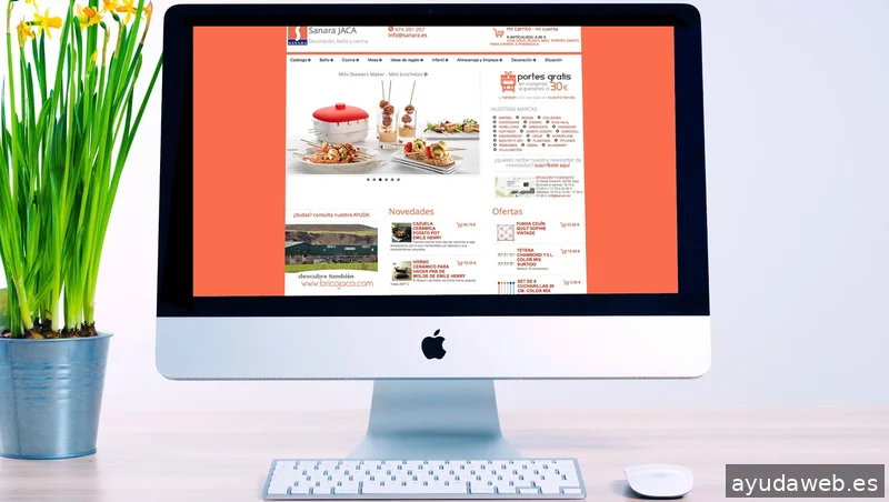 PIRINEUM diseño e internet