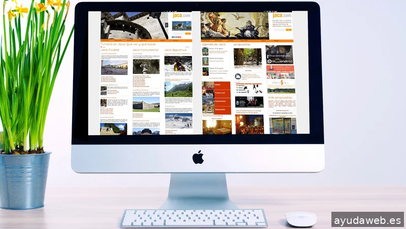 PIRINEUM diseño e internet