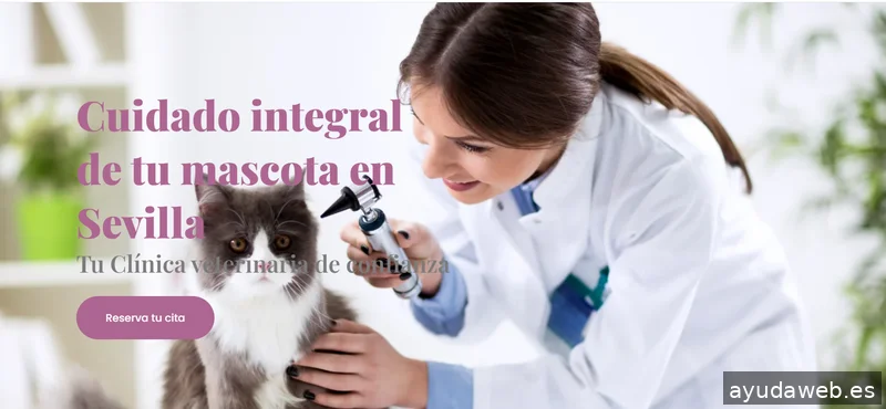 WeboWeb – Diseño web Sevilla