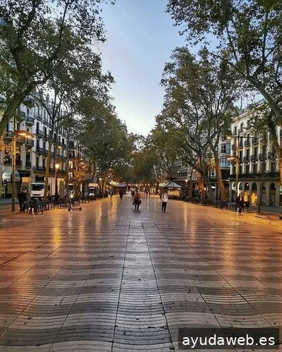 Impulsoh · Agencia de Marketing Digital