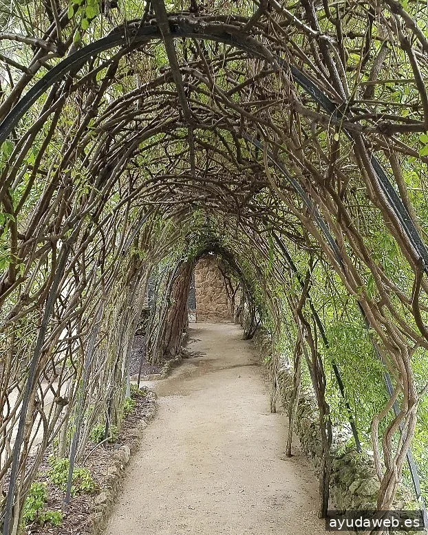 Impulsoh · Agencia de Marketing Digital