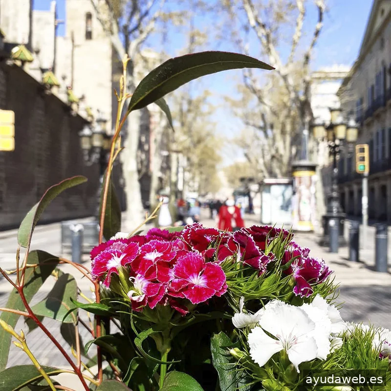 Impulsoh · Agencia de Marketing Digital