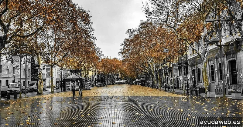 Impulsoh · Agencia de Marketing Digital