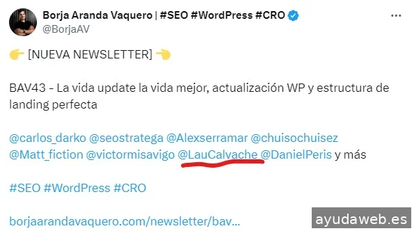 Laura Calvache | Consultora SEO