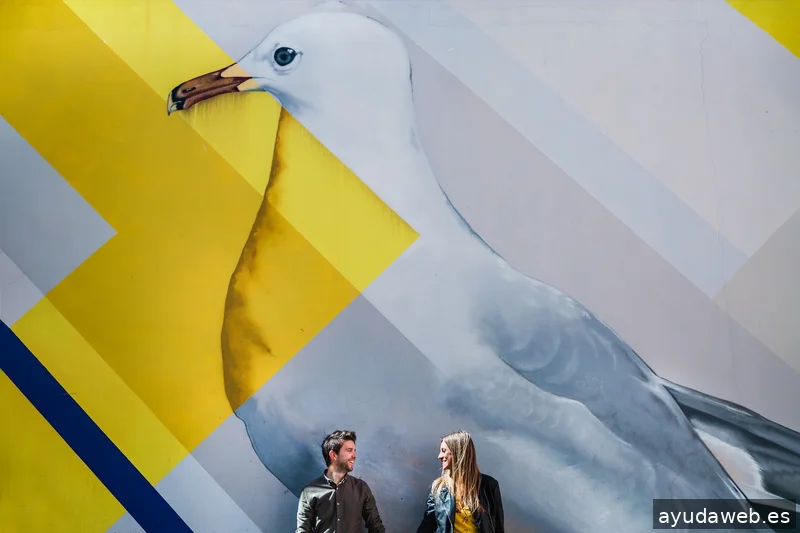 Luis Hernández Fotografía & Diseño