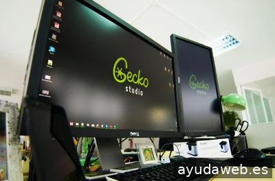 Gecko Studio - Estudio Diseño Web & Agencia SEO y Local