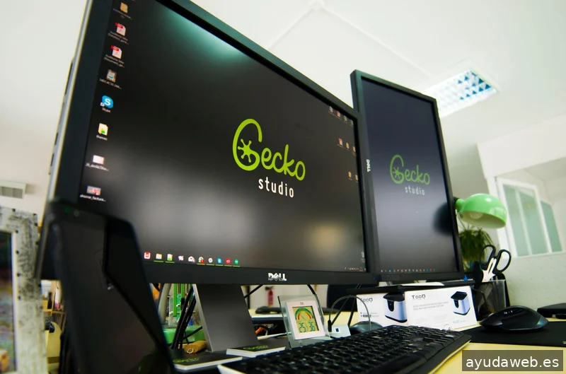 Gecko Studio - Estudio Diseño Web & Agencia SEO y Local