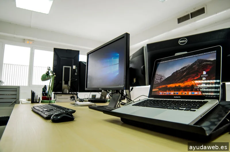 Gecko Studio - Estudio Diseño Web & Agencia SEO y Local