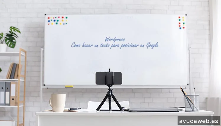 Gecko Studio - Estudio Diseño Web & Agencia SEO y Local