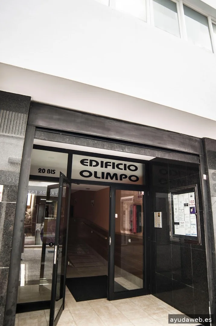 Gecko Studio - Estudio Diseño Web & Agencia SEO y Local