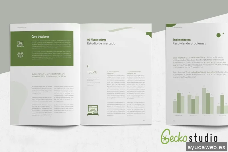 Gecko Studio - Estudio Diseño Web & Agencia SEO y Local