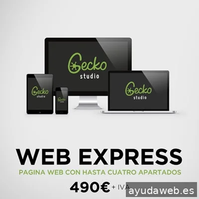 Gecko Studio - Estudio Diseño Web & Agencia SEO y Local