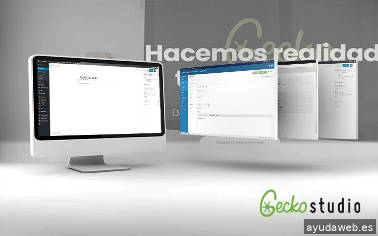 Gecko Studio - Estudio Diseño Web & Agencia SEO y Local