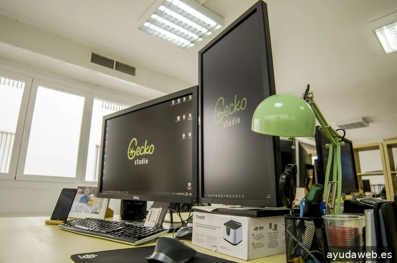 Gecko Studio - Estudio Diseño Web & Agencia SEO y Local