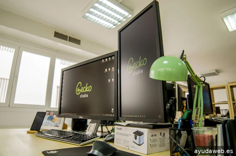 Gecko Studio - Estudio Diseño Web & Agencia SEO y Local