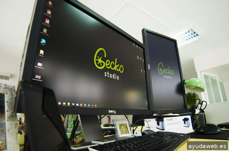 Gecko Studio - Estudio Diseño Web & Agencia SEO y Local
