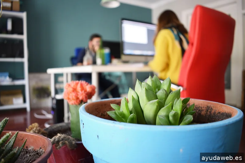 Bazzar Comunicación