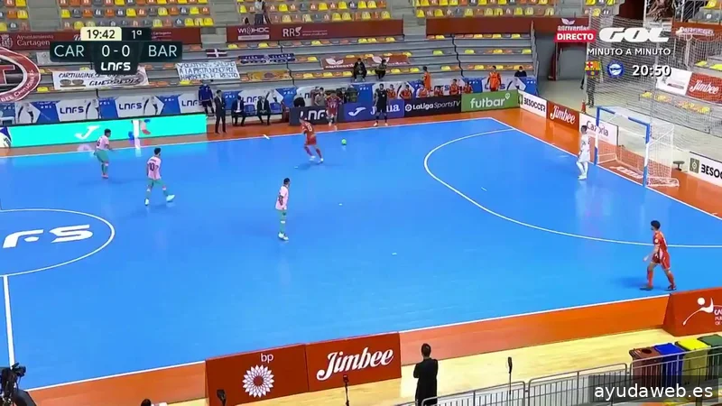 Proneo Sports - Agencia Internacional de Representación Deportiva
