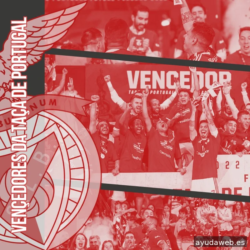 Proneo Sports - Agencia Internacional de Representación Deportiva