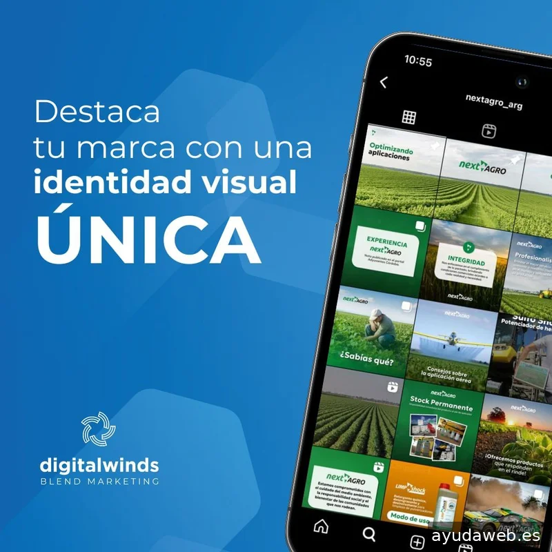 Digital Winds | Agencia de SEO en Madrid