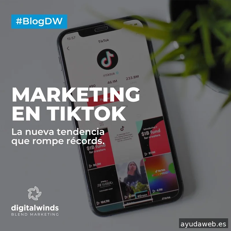 Digital Winds | Agencia de SEO en Madrid