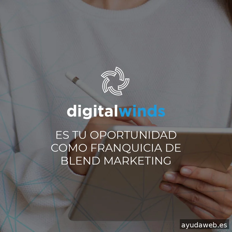 Digital Winds | Agencia de SEO en Madrid