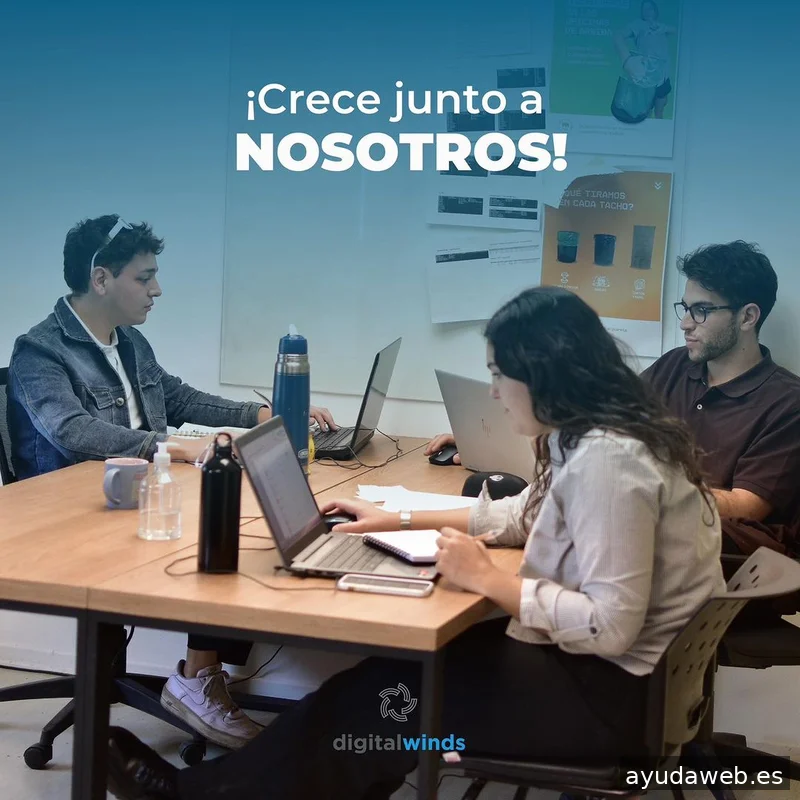 Digital Winds | Agencia de SEO en Madrid