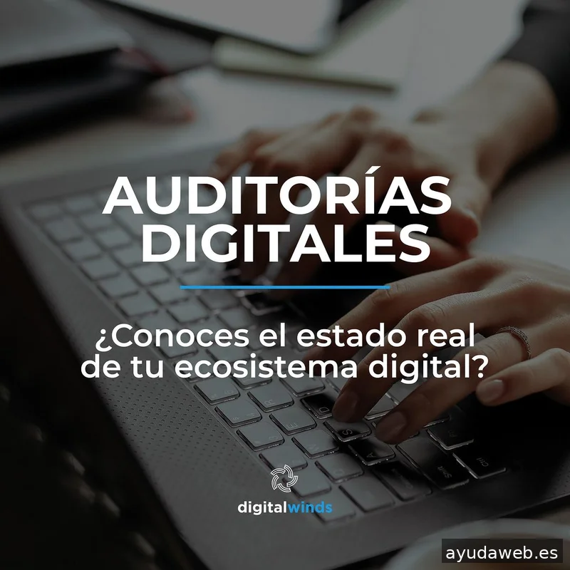 Digital Winds | Agencia de SEO en Madrid